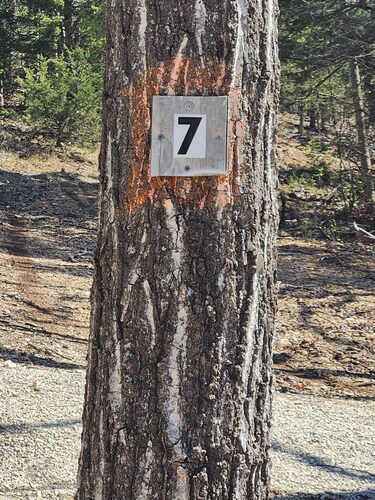 DnD Campgrounds Site 7 Family Camp