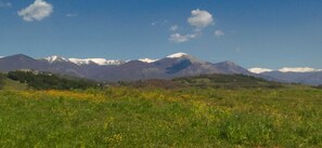 Unclassified image, 5 of 12, button - Vrbo Property (Altipiani di Arcinazzo)