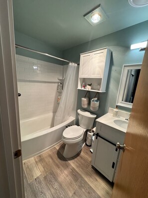 Hair dryer, bidet, towels, soap