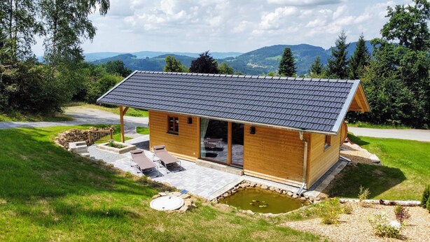 A wooden cabin with a tiled roof, a small pond, and a patio with lounge chairs. - VroniChalets - Tiny Chalet with sauna (Neukirchen)
