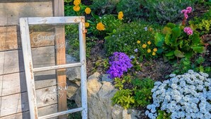 A garden with a wooden bench, a rustic glass door, and a variety of colorful flowers. - VroniChalets - Tiny Chalet with sauna (Neukirchen)