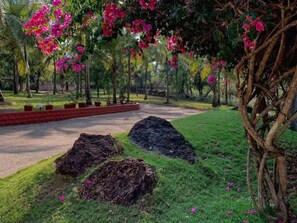 Property grounds - River View 7bhk Villa (Chikhli)