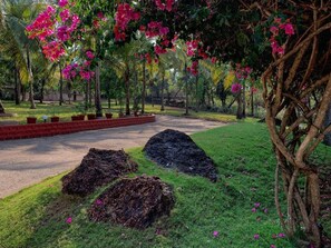 Property grounds - River View 5bhk Villa (Chikhli)