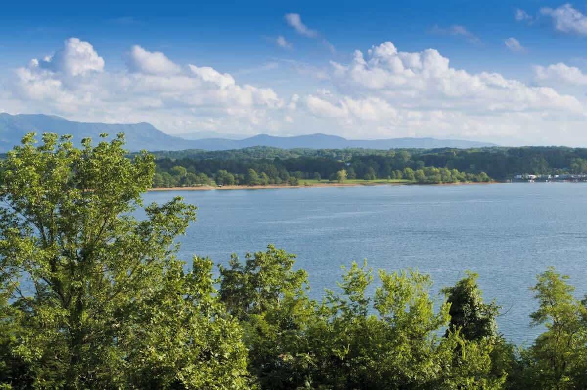 Un lago con árboles en primer plano y montañas al fondo.