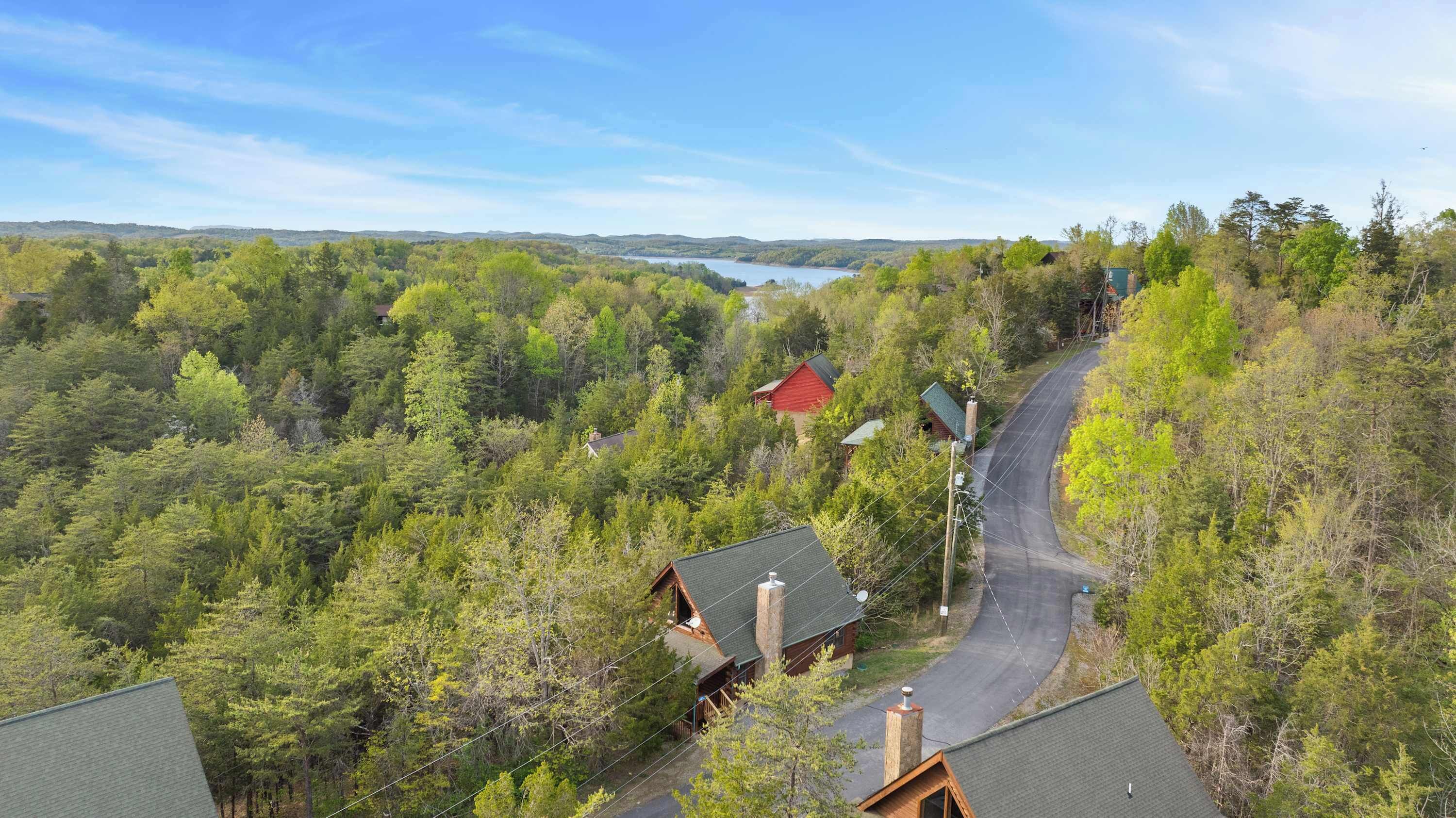 A cabin with a curved driveway, surrounded by dense forest and a lake in the distance.