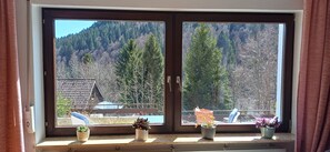 Interior - Cozy, quiet vacation apartment - in ideal proximity to nature and sports facilities (Todtmoos)