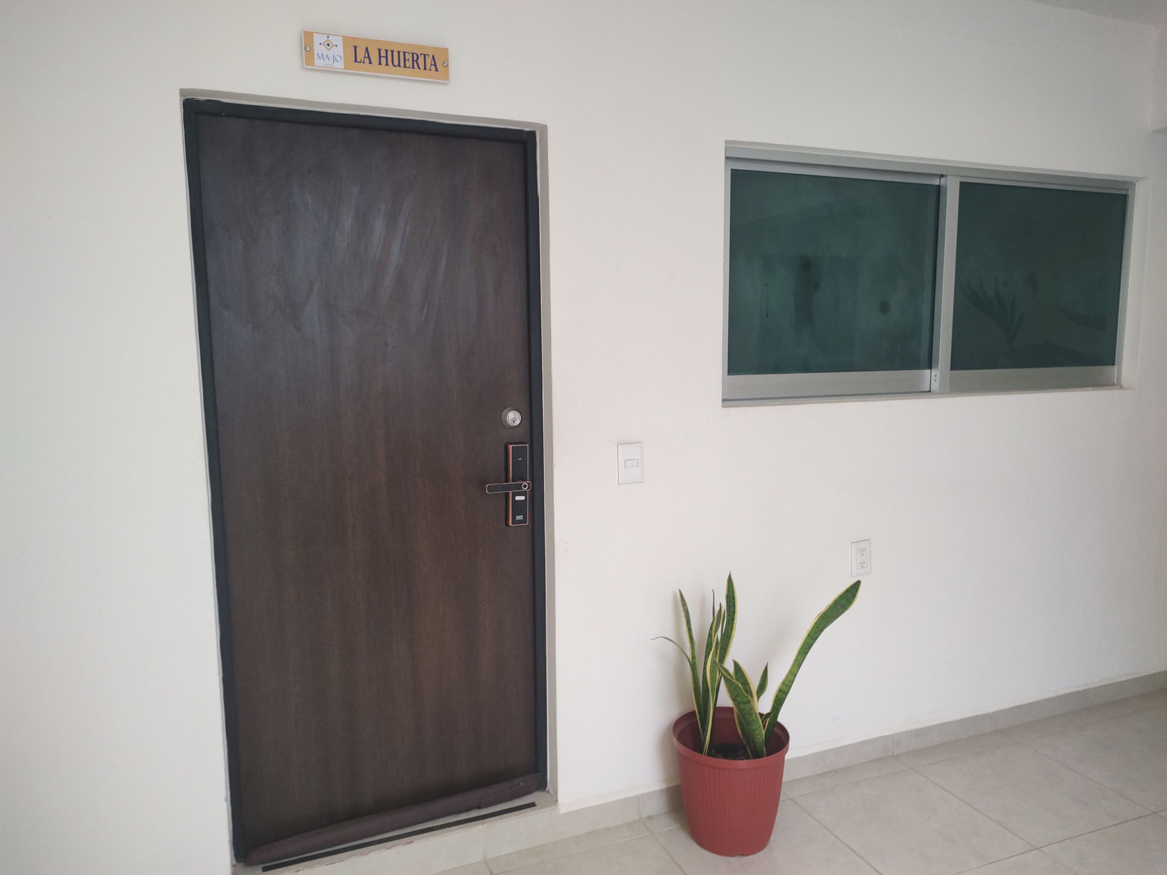A closed dark wooden door with a sign above it, a potted plant, and a window with frosted glass.