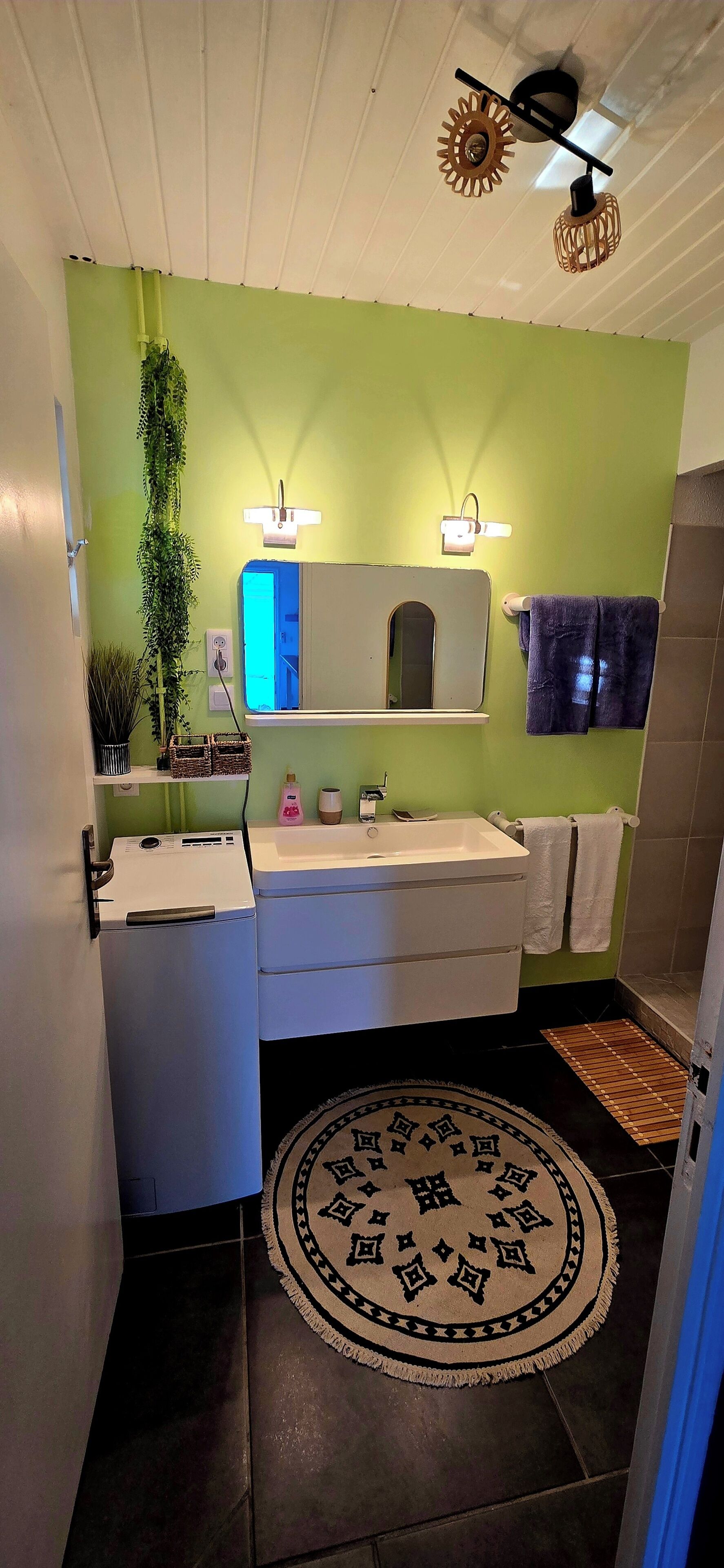Ein Badezimmer mit grüner Wand, einem weißen Waschbecken, einem Spiegel, einem Handtuchhalter, einer hängenden Pflanze und einem gemusterten Teppich.