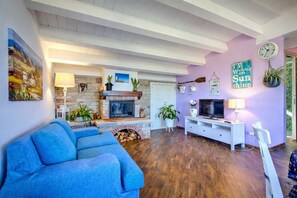 TV, fireplace