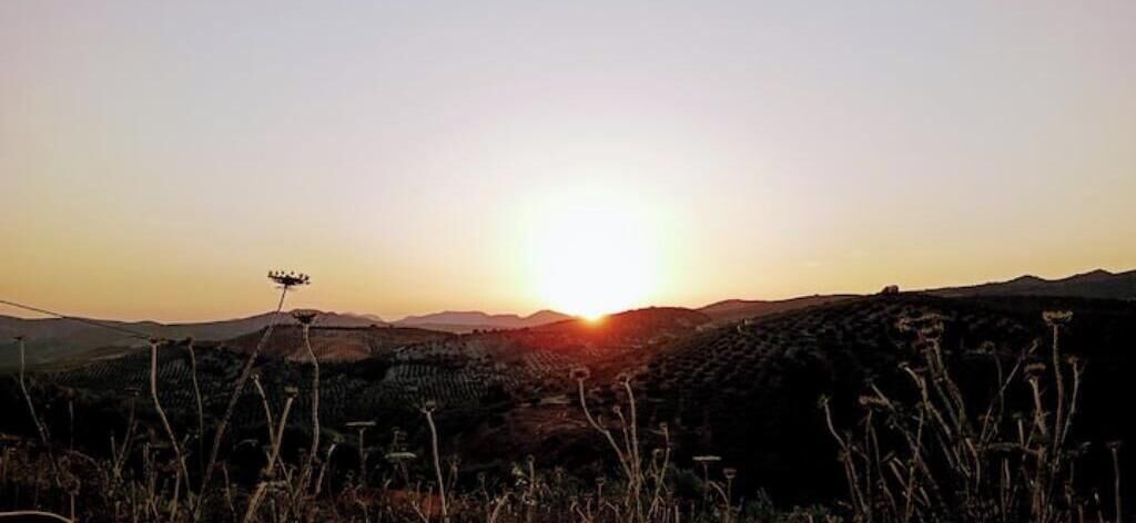 Un atardecer sobre un paisaje montañoso con vegetación escasa.