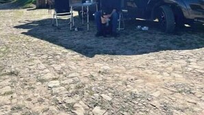 Un camping-car noir est garé sur une surface de gravier, sous un ciel dégagé.