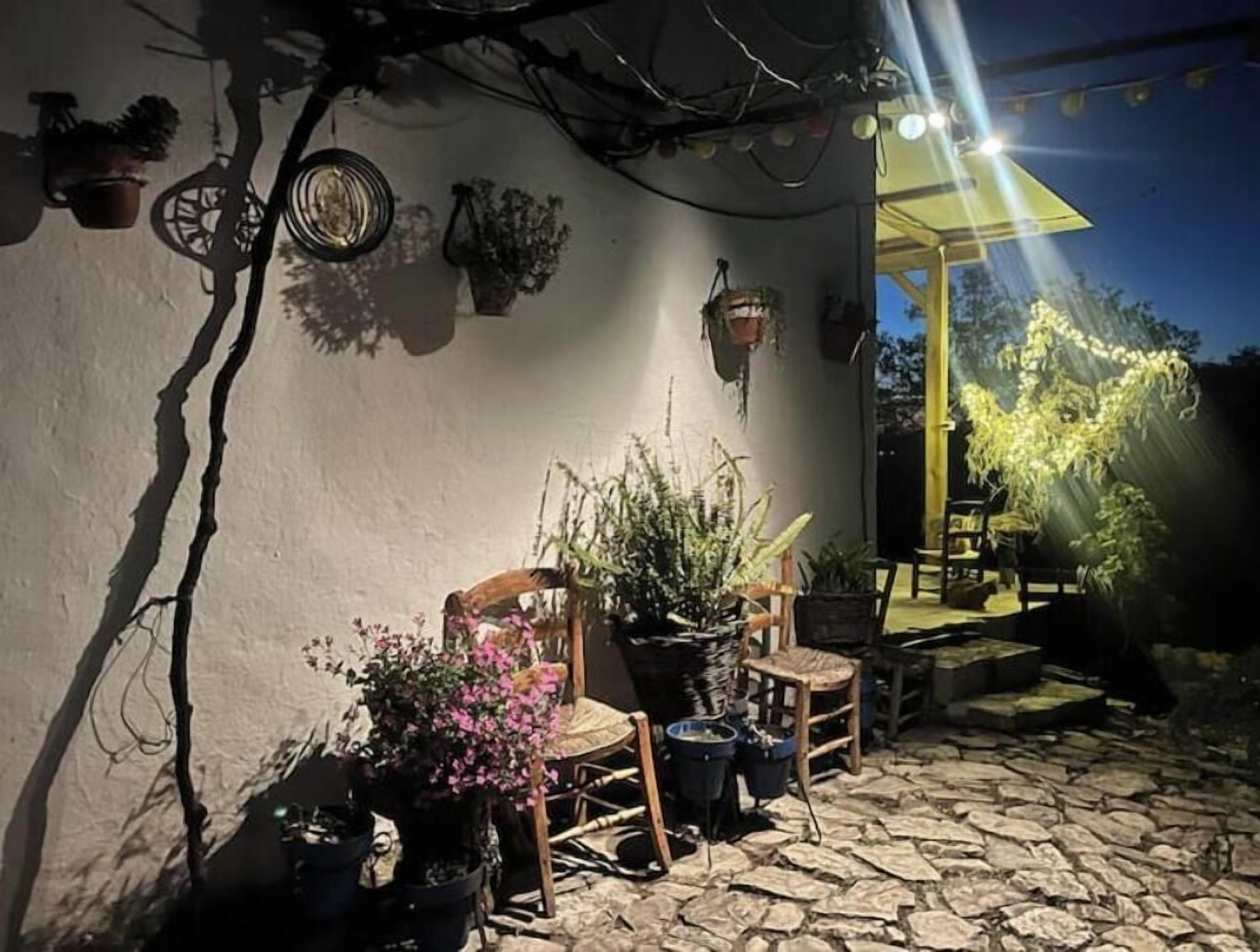 Zona de pati amb plantes en testos, una cadira de fusta i una taula sota una teulada.
