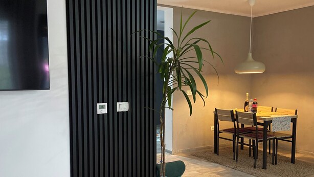 Een moderne woonkamer met een zwarte schuifdeur, een potplant, een eethoek met een tafel en stoelen, en een aan de muur bevestigde televisie.