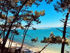 Beach - Villa Gaume with exceptional view of the forest, 2 minutes from Dune du Pyla (La Teste-de-Buch)