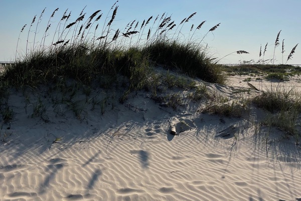 Vlak bij het strand