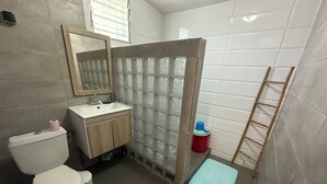 A bathroom with a toilet, sink, mirror, and a shower area with a glass partition. - Welcome to La Baraka 4 (Dzaoudzi)