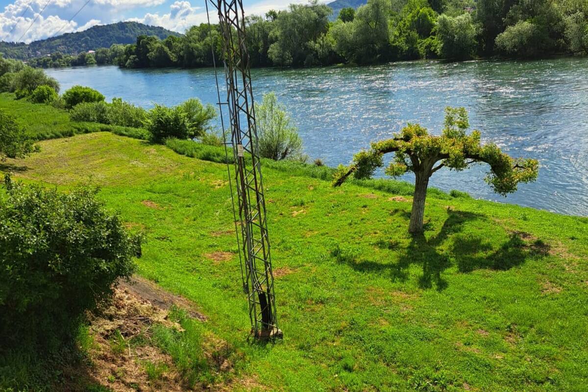 A river with a grassy bank, a tree, and a power line structure.