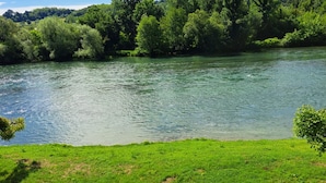 A river with a grassy bank and dense trees in the background.