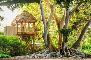 Property grounds - Relaxing Getaway in Sarasota | Great Location (Sarasota)