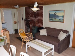 Fernseher, Kamin