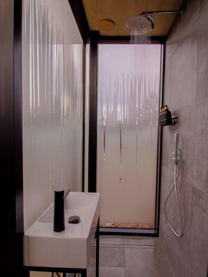 Shower, hair dryer, towels, shampoo