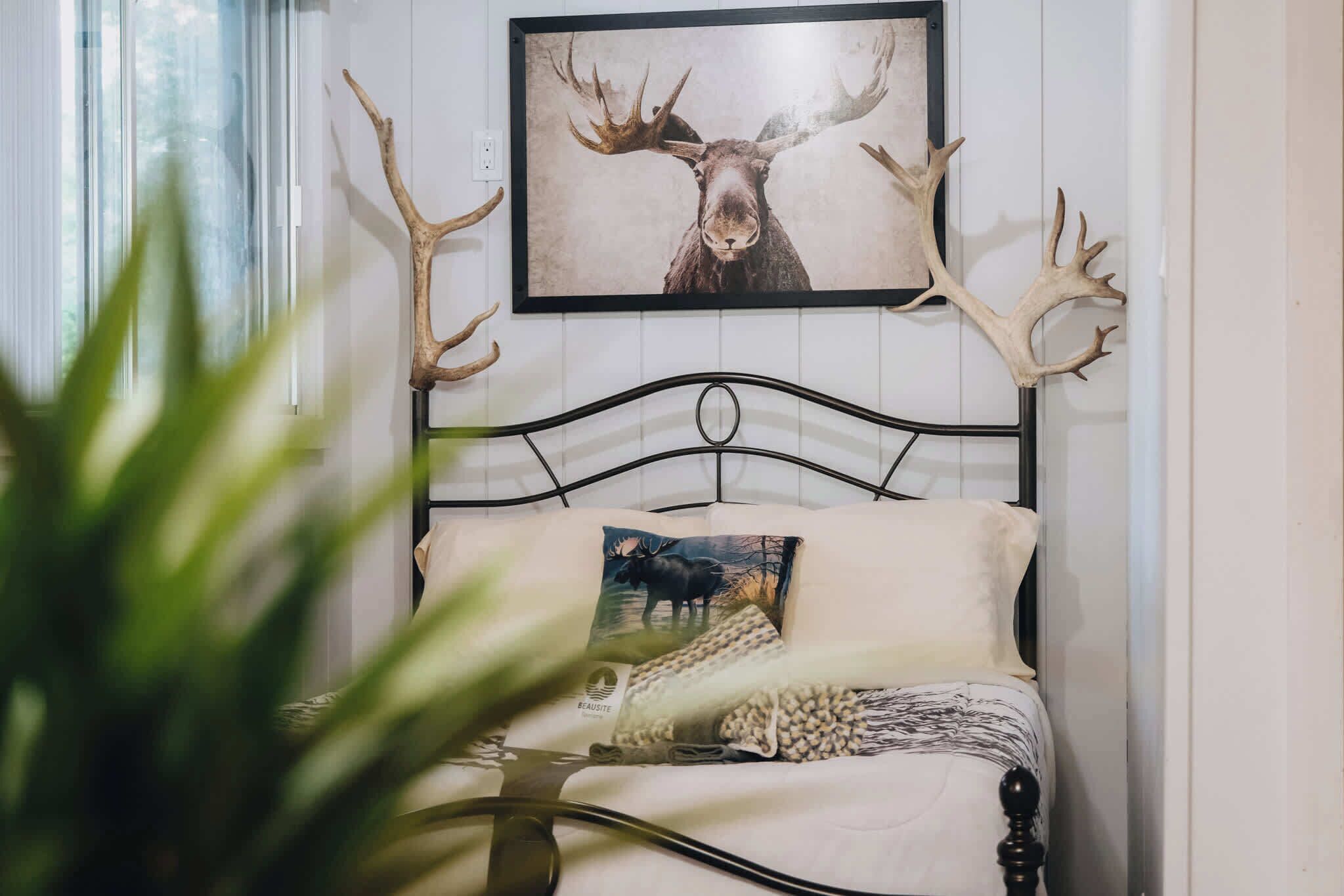 WiFi, bed sheets