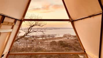 Suite monolocale, vista lago | Interni