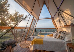 Suite estudio, vistas al lago | Minibar con artículos gratuitos y tabla de planchar con plancha