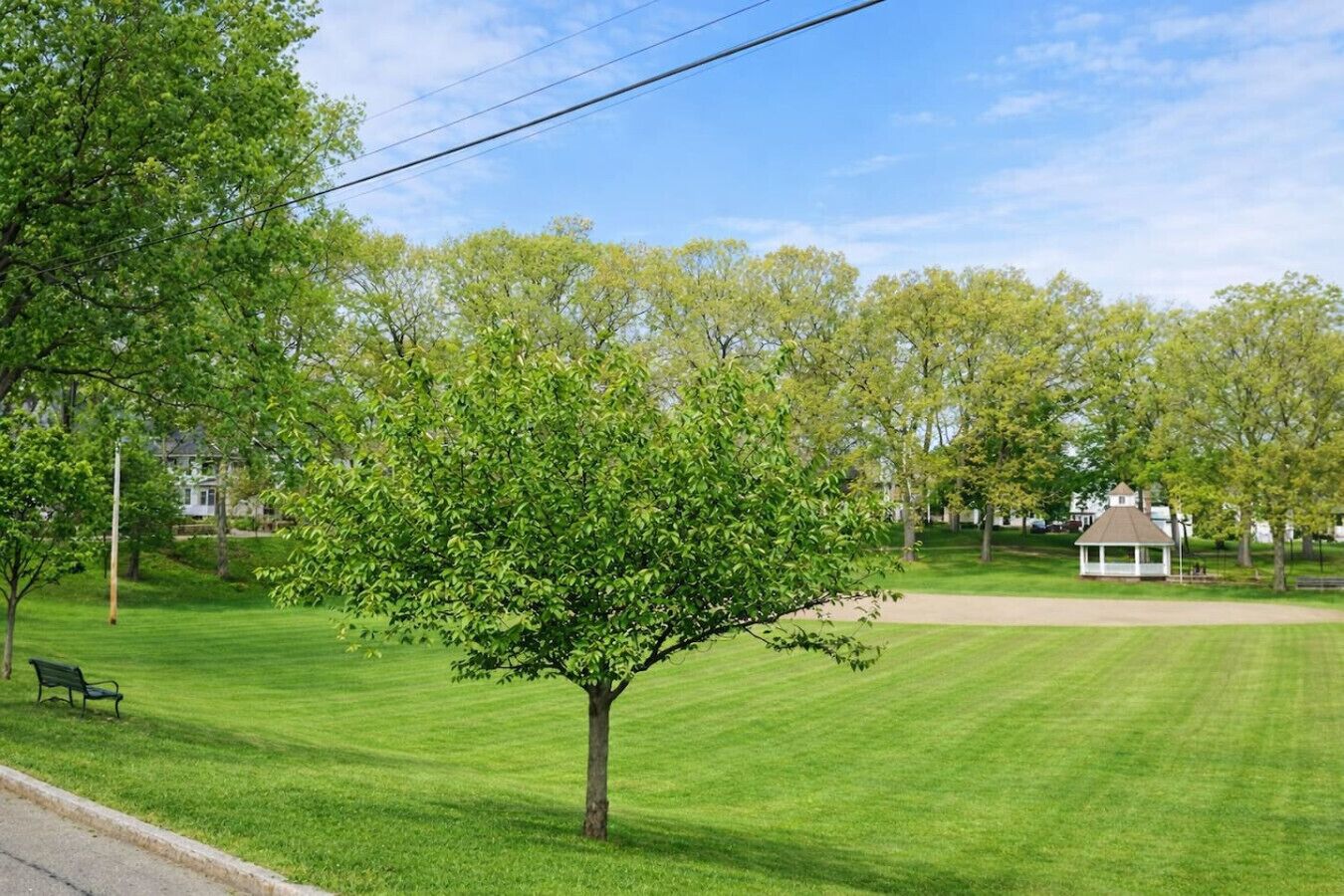 Parco della struttura