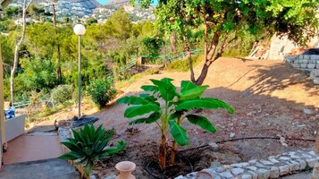 A garden with a variety of plants, a lamp post, and a stone wall.
