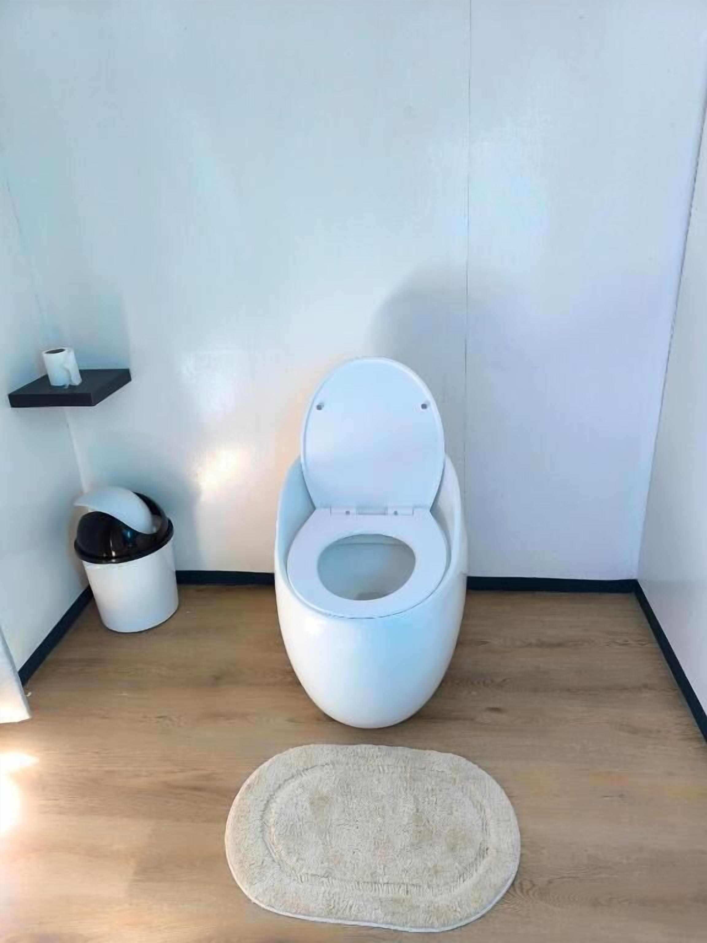 A modern bathroom with a white toilet, a small trash bin, and a round rug on the floor.
