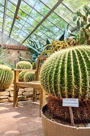 المنطقة المحيطة بالمنشأة