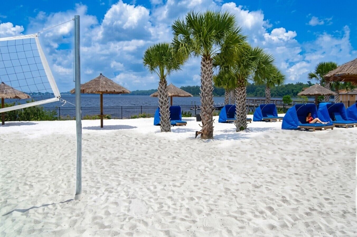 Una playa con una red de voleibol, palmeras y sillas de descanso.