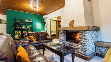 Smart TV, fireplace, books