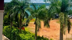 A view of a dirt path leading to a beach with palm trees and a clear sky. - View 462 just for you! (Plano Piloto)
