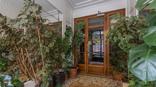 Un couloir orné de plantes en pot, doté d’un sol carrelé et d’une porte en bois avec des panneaux de verre.