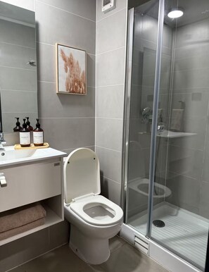 Secador de cabelo, toalhas de banho, sabonete, papel higiênico
