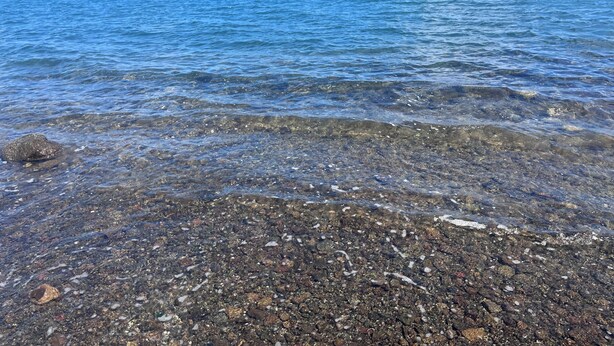 A clear view of a rocky shoreline with calm water and distant landforms. - Aurore des îles-F3- 2bedroom with jacuzzi and terrace (Le François)