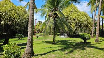 Un jardin tropical avec des palmiers et une pelouse.