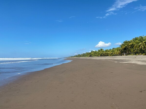 A wide sandy beach with gentle waves, a clear sky, and a line of palm trees in the distance.