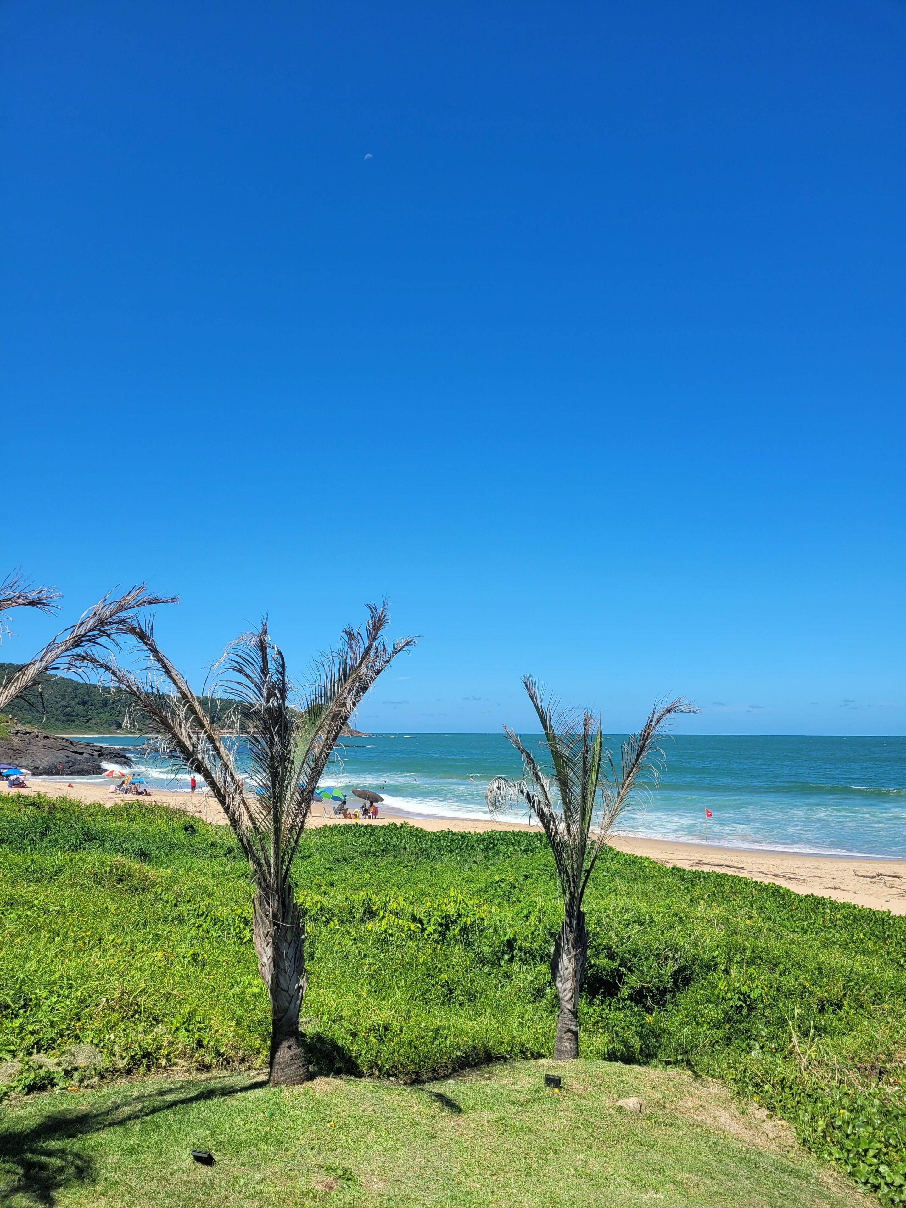 Una playa con palmeras, cielo azul despejado y olas del océano.