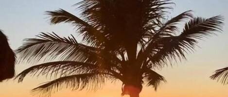 Εξωτερικός χώρος καταλύματος