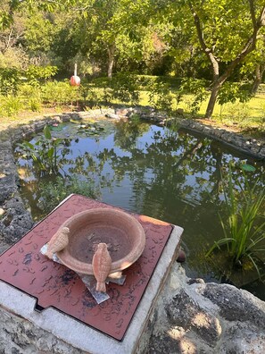 Een vijver met een vogelbad en een flamingo standbeeld op de achtergrond.