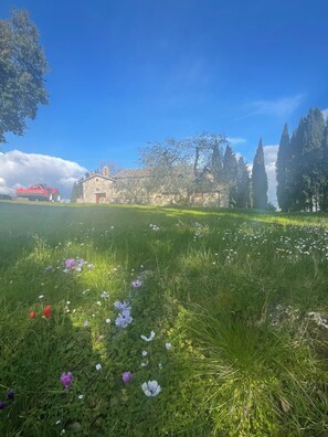 Jardines del alojamiento
