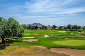 Ein Golfplatz mit Bunkern, Putting Green und einem Baum.