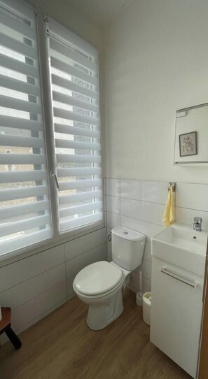 Shower, hair dryer, towels, soap - Town house near chateau Chenonceau, Amboise, Clos Luce, Beauval zoo, Loches (Bléré)