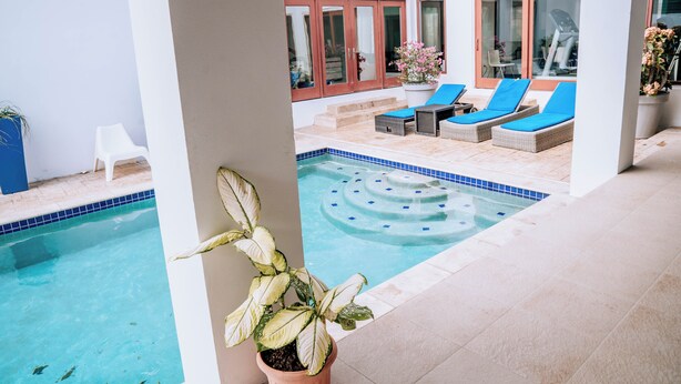 Pool - Poolside Studio A in Safir, Malmok Area and Beach (Noord)