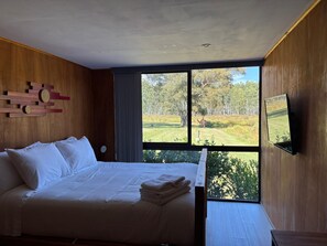 Klassieke kamer, 1 twee- of 2 eenpersoonsbedden, balkon, uitzicht op tuin