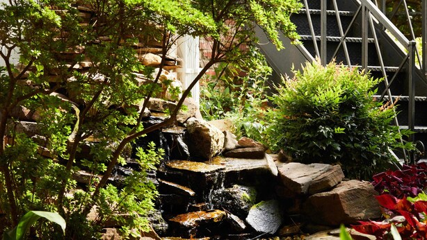 Um jardim com uma pequena cascata, pedras e diversas plantas.
