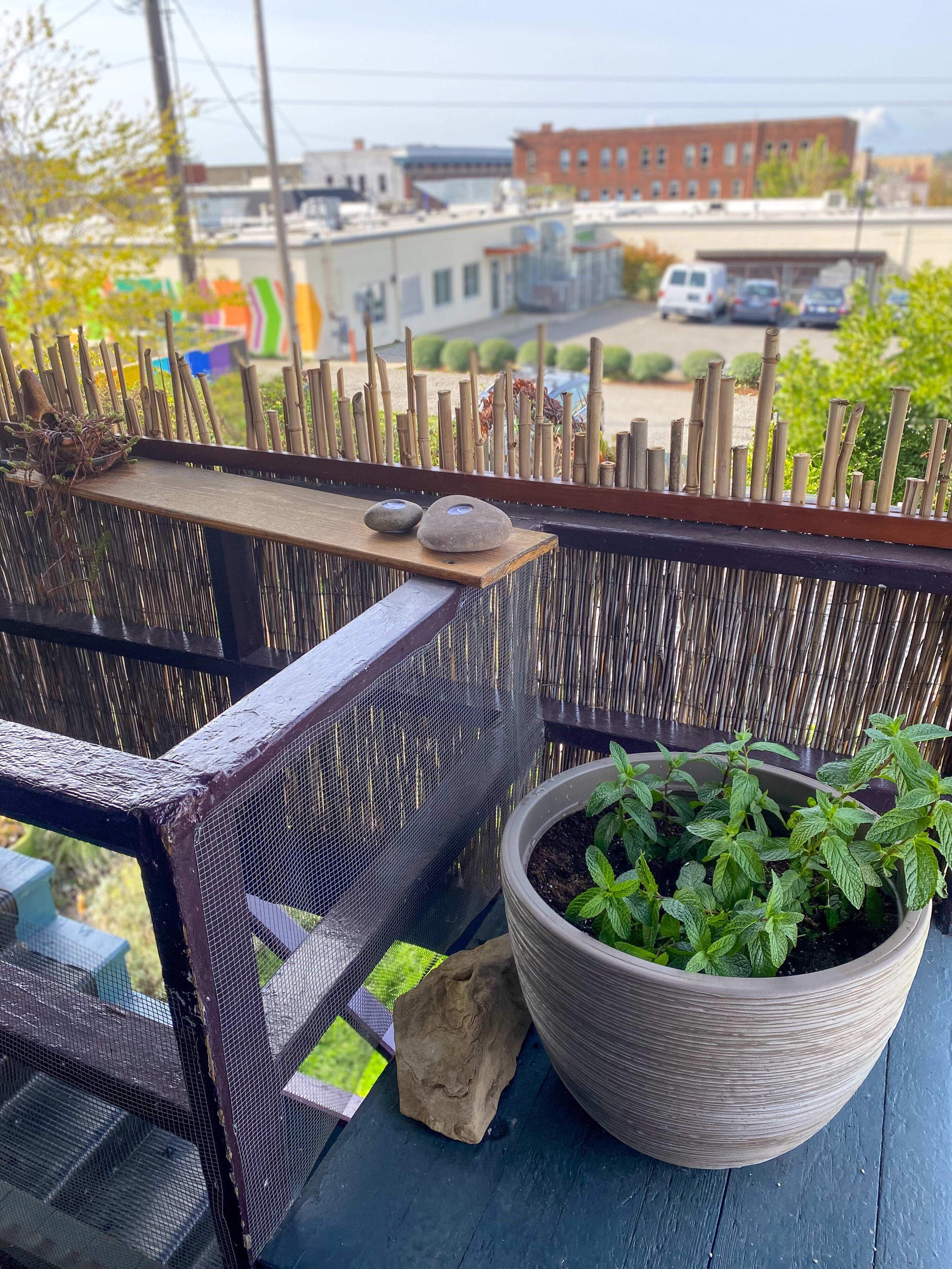 A balcony with a woven fence, a potted plant, and a small birdhouse.